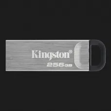 Флеш-накопичувач Kingston USB 3.2 DT Kyson 256GB (Silver/Black)