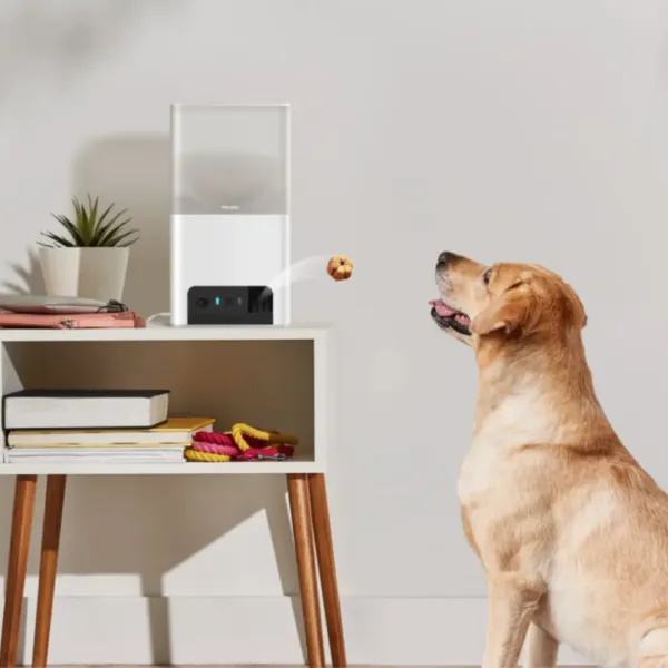 Інтерактивна HD камера Petcube Bites 2 Lite (Silver)